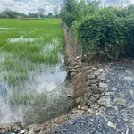 Bán đất lúa 2090 m² Bình Lãng, Tân Trụ, Long An - Ảnh thu nhỏ 3