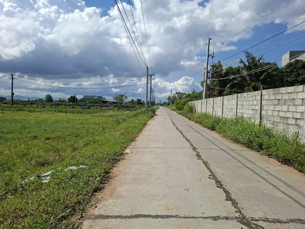 Bán 500m² đất lúa Phú Long, Bình Thuận 479 triệu - Ảnh 1