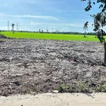 Bán nền đất Cần Giờ 75m² 155 triệu gần Lộ Bàn Tân Định - Ảnh thu nhỏ 3