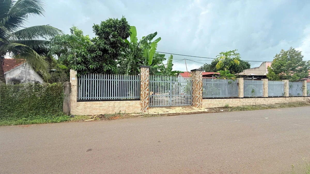 Bán lô nhà vườn 649m² mặt tiền Nguyễn Hùng Mạnh gần Chợ Đất Đỏ - Ảnh thu nhỏ 5