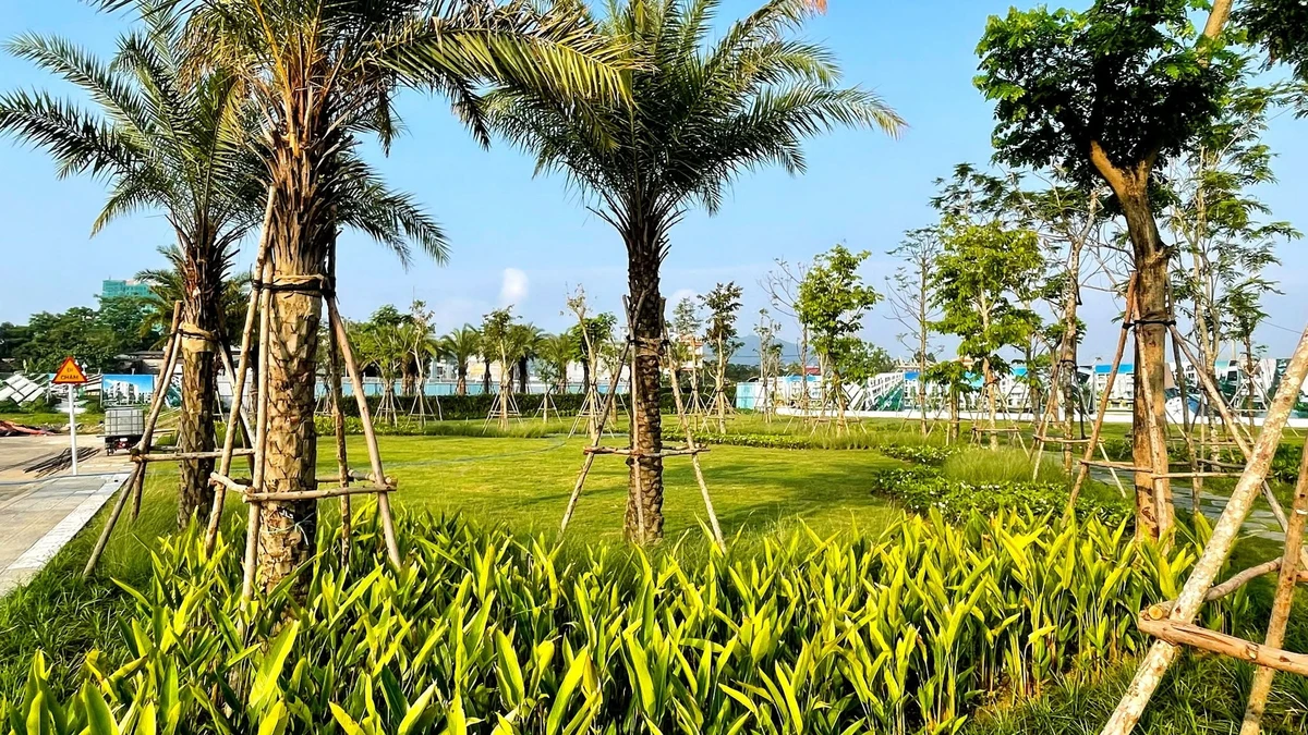 Bán nhà liền kề 4 tầng 105m2, 8 tỷ Đà Nẵng - Ảnh thu nhỏ 3
