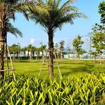 Bán nhà liền kề 4 tầng 105m2, 8 tỷ Đà Nẵng - Ảnh thu nhỏ 3