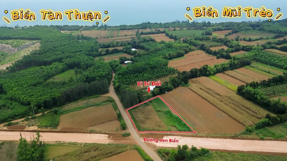 Bán đất 5000m² biển Quảng Trị giá 600k/m² - Ảnh 1