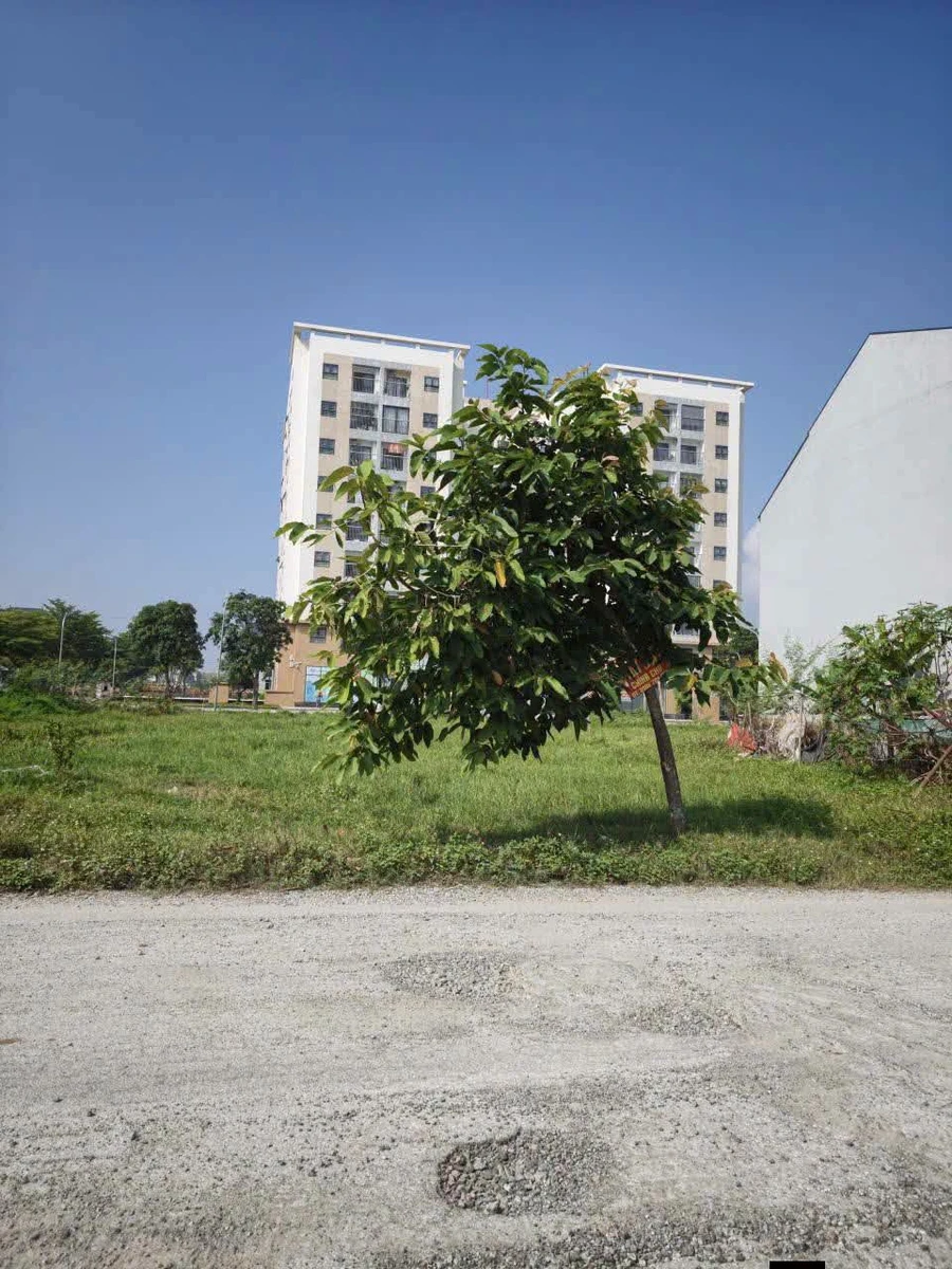 Bán đất TecCo Nghi Kim, Nhà Bè 140m², hơn 3 tỷ - Ảnh thu nhỏ 2