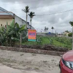 Bán đất Nam Thịnh Nam Cường, Thái Bình. Ô tô tránh, kinh doanh. Nhỉnh 1 tỷ. - Ảnh thu nhỏ 6