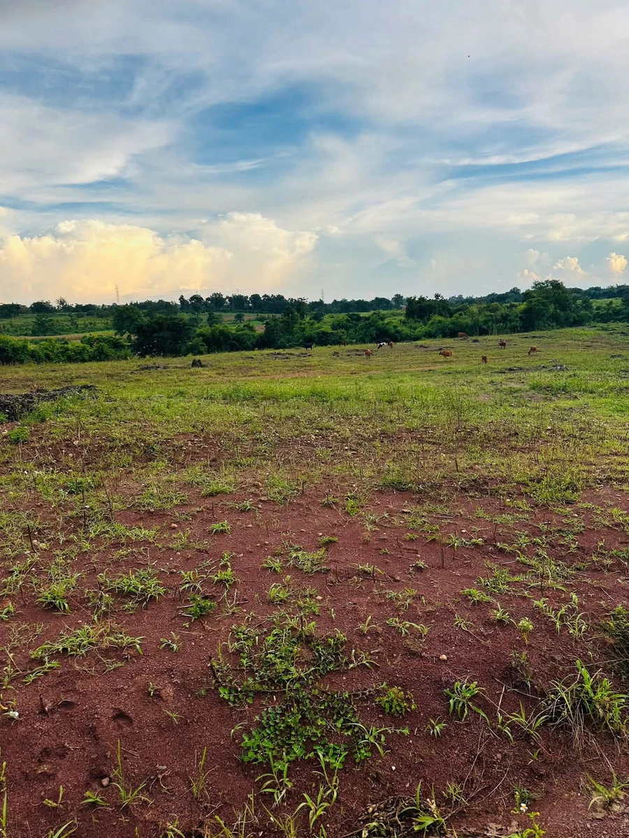 Bán đất 1,7 ha tại Buôn Đôn, Đắk Lắk giáp suối - Ảnh thu nhỏ 4