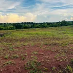 Bán đất 1,7 ha tại Buôn Đôn, Đắk Lắk giáp suối - Ảnh thu nhỏ 4
