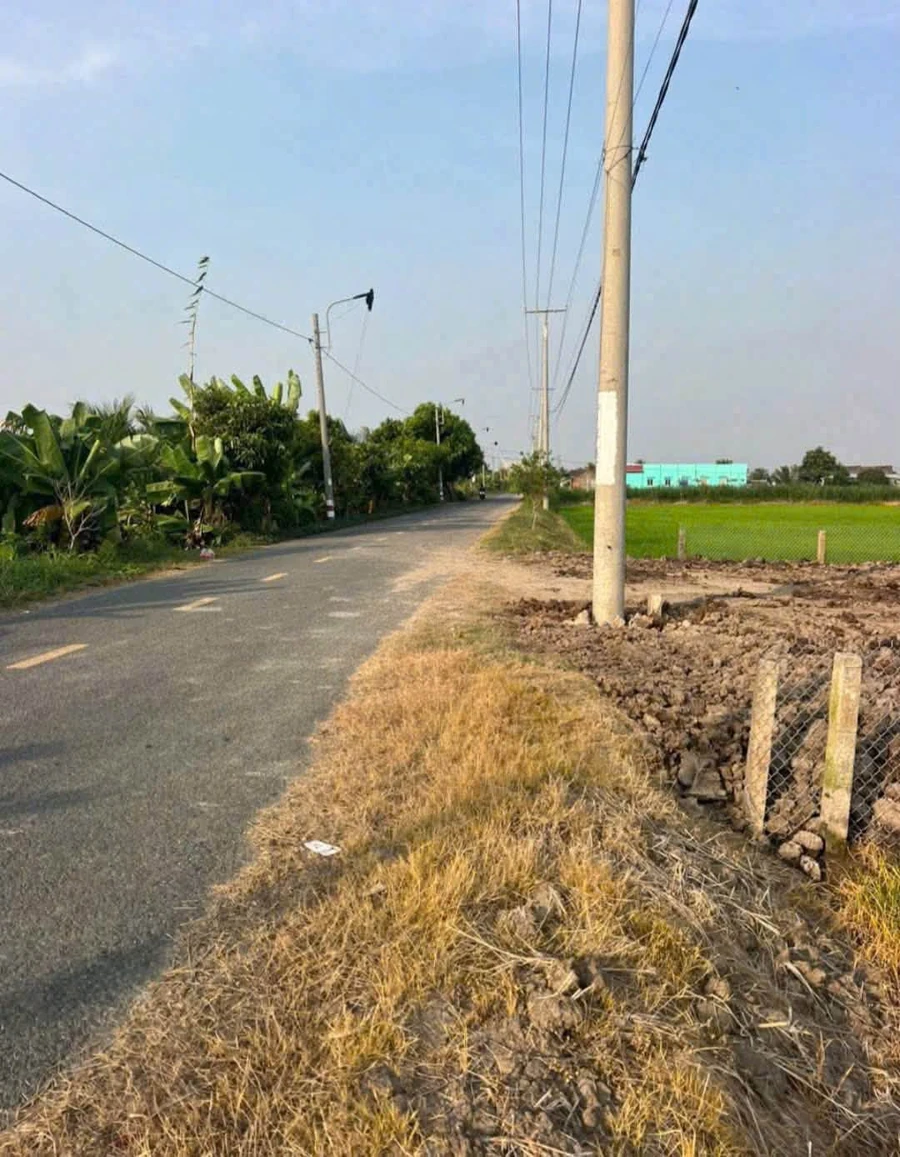 Bán đất 5x45m thổ cư + lúa đường Lộ Đình, Bình Trinh Đông, Tân Trụ giá 1,15 tỷ - Ảnh 1