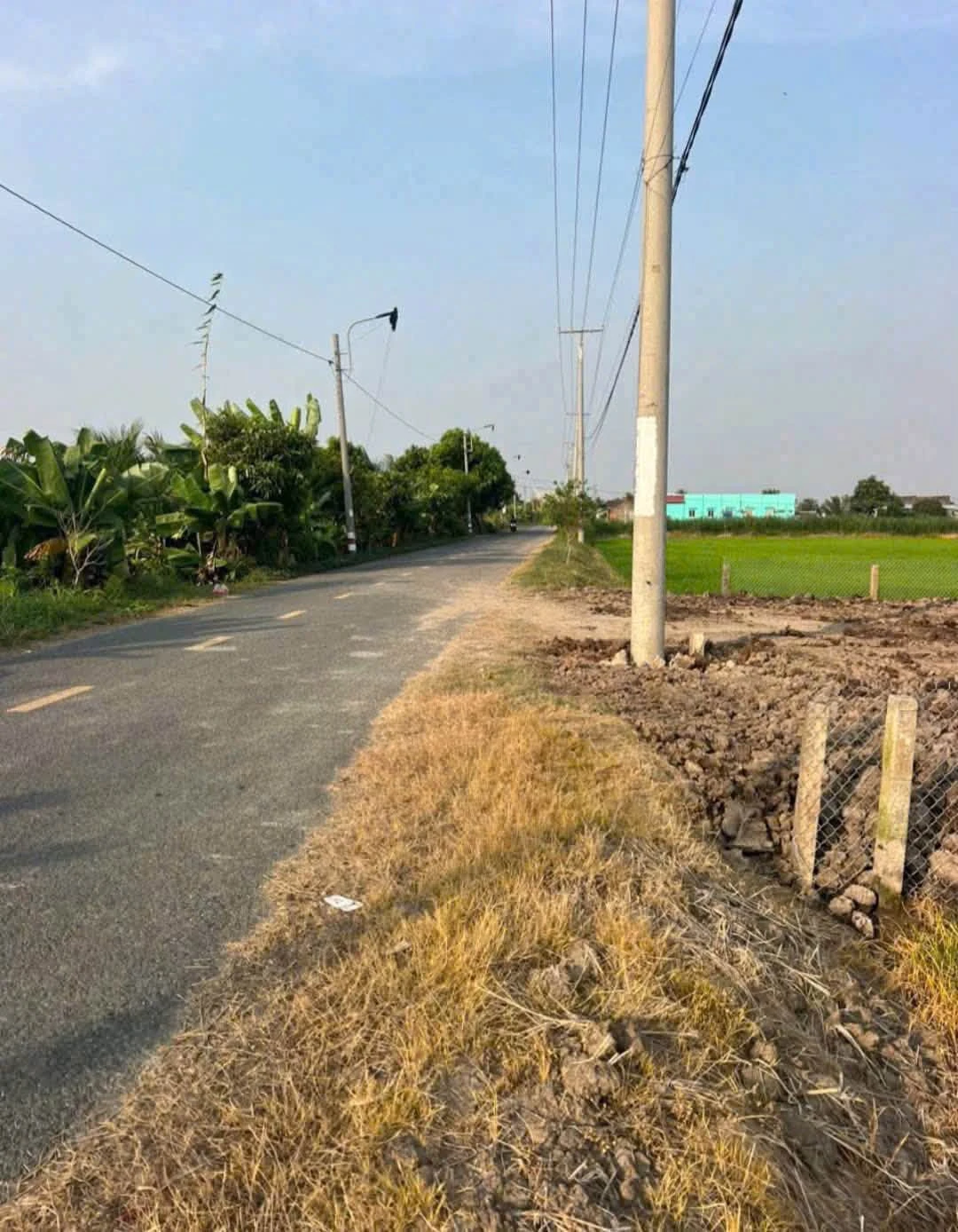 Bán đất 5x45m thổ cư + lúa đường Lộ Đình, Bình Trinh Đông, Tân Trụ giá 1,15 tỷ - Ảnh 1