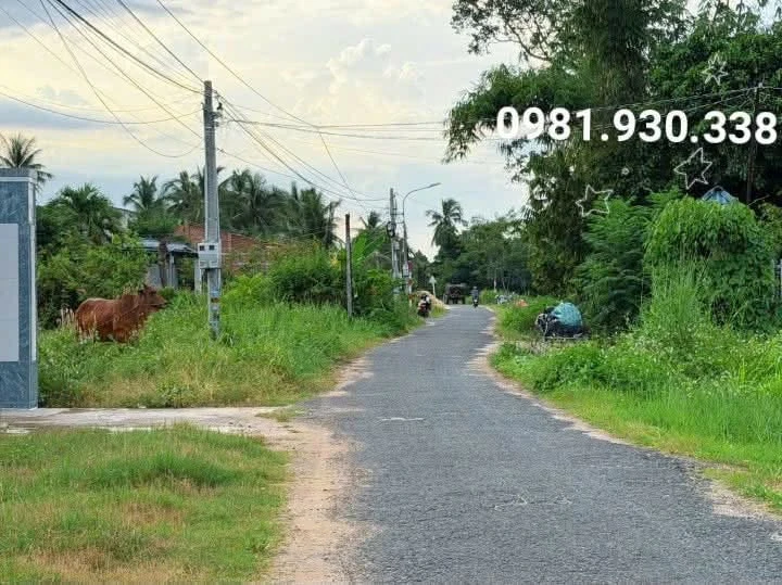 Bán đất 120m² Xã Dương Minh Châu Tây Ninh 359 triệu - Ảnh thu nhỏ 5