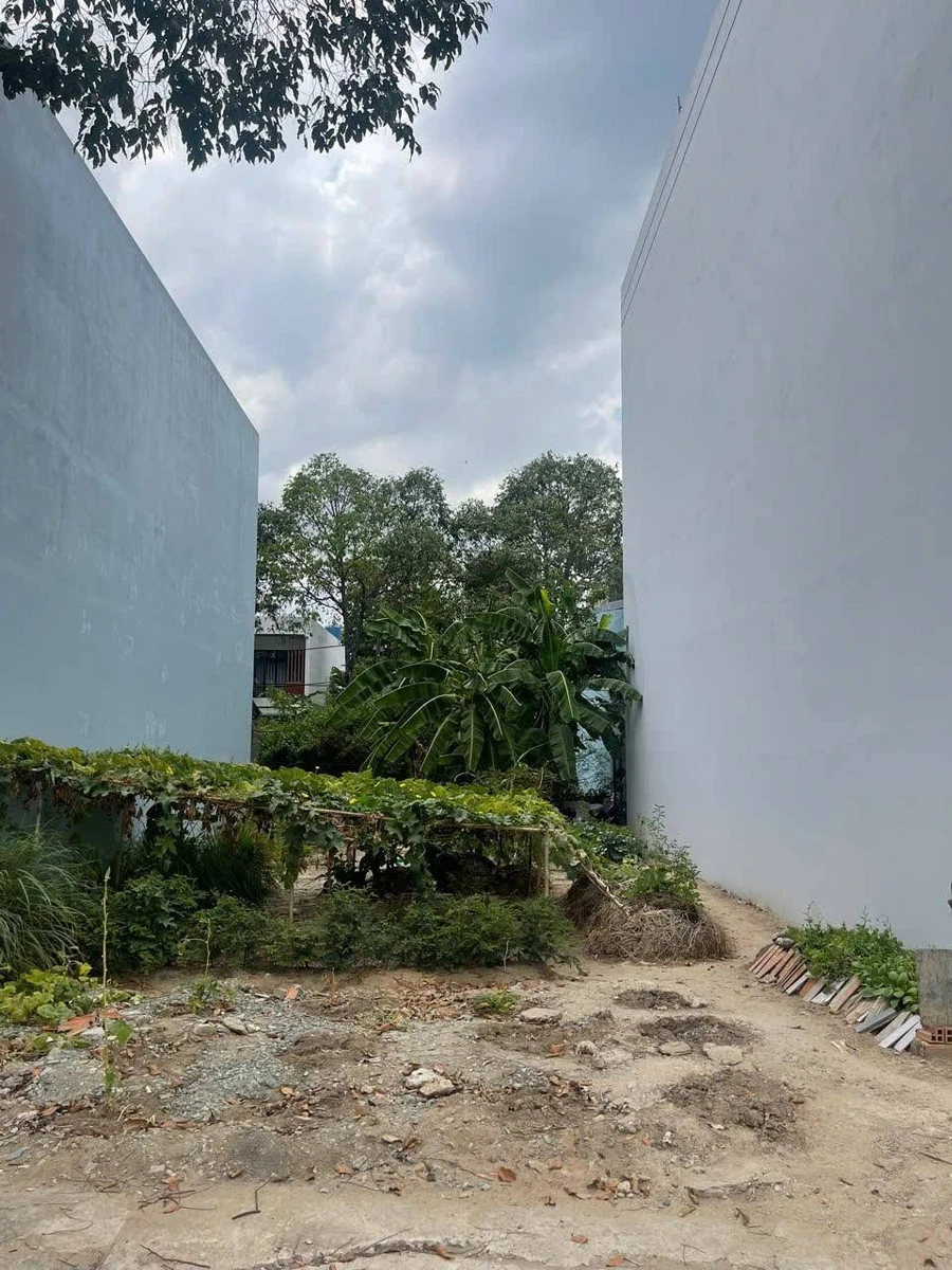 Bán đất khu dân cư Tân An 64 m² 950 triệu - Ảnh thu nhỏ 4