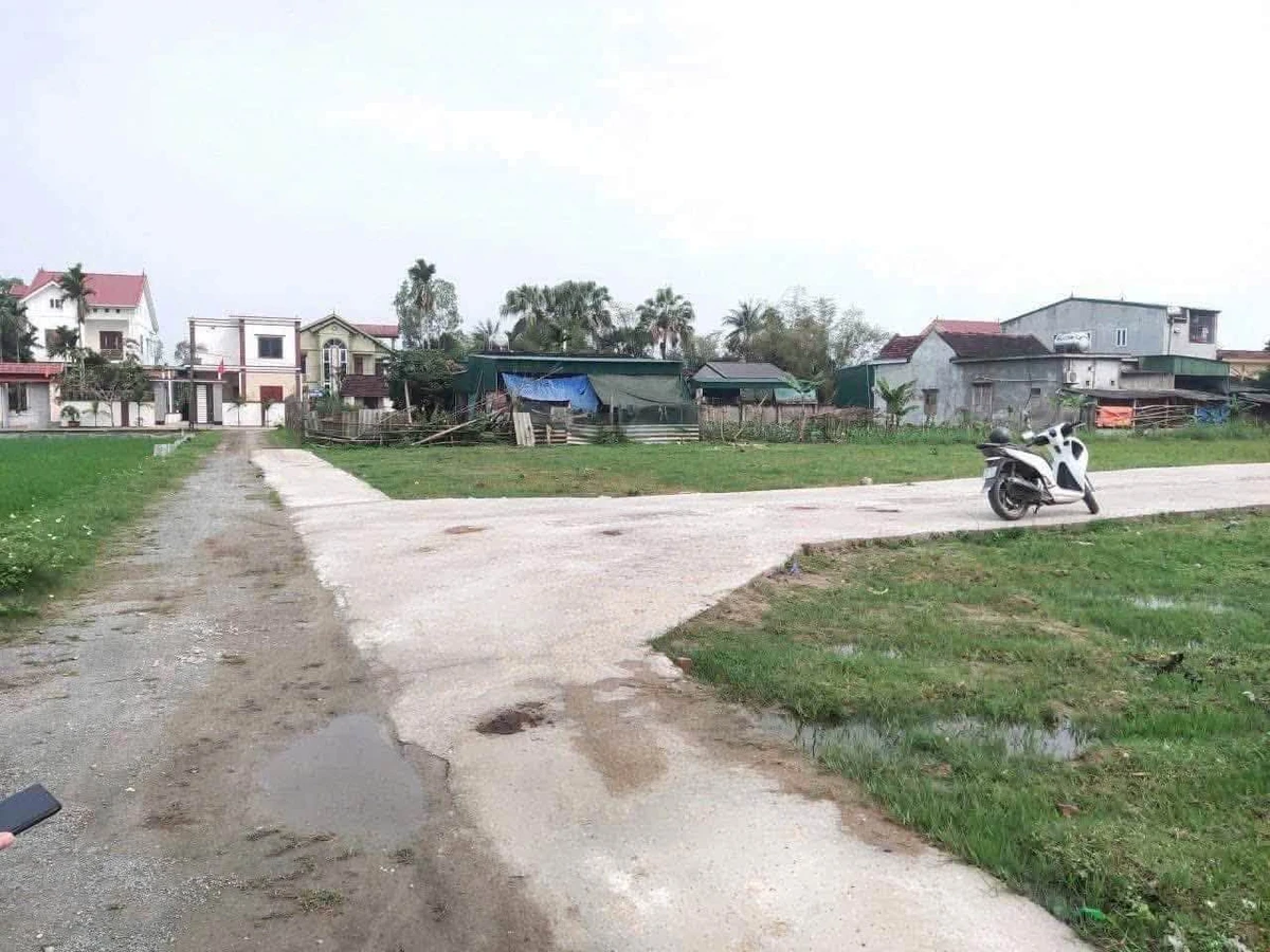 Bán đất xóm Bắc Liên Nghi Liên 86,2m² 1 tỷ 6 - Ảnh thu nhỏ 3