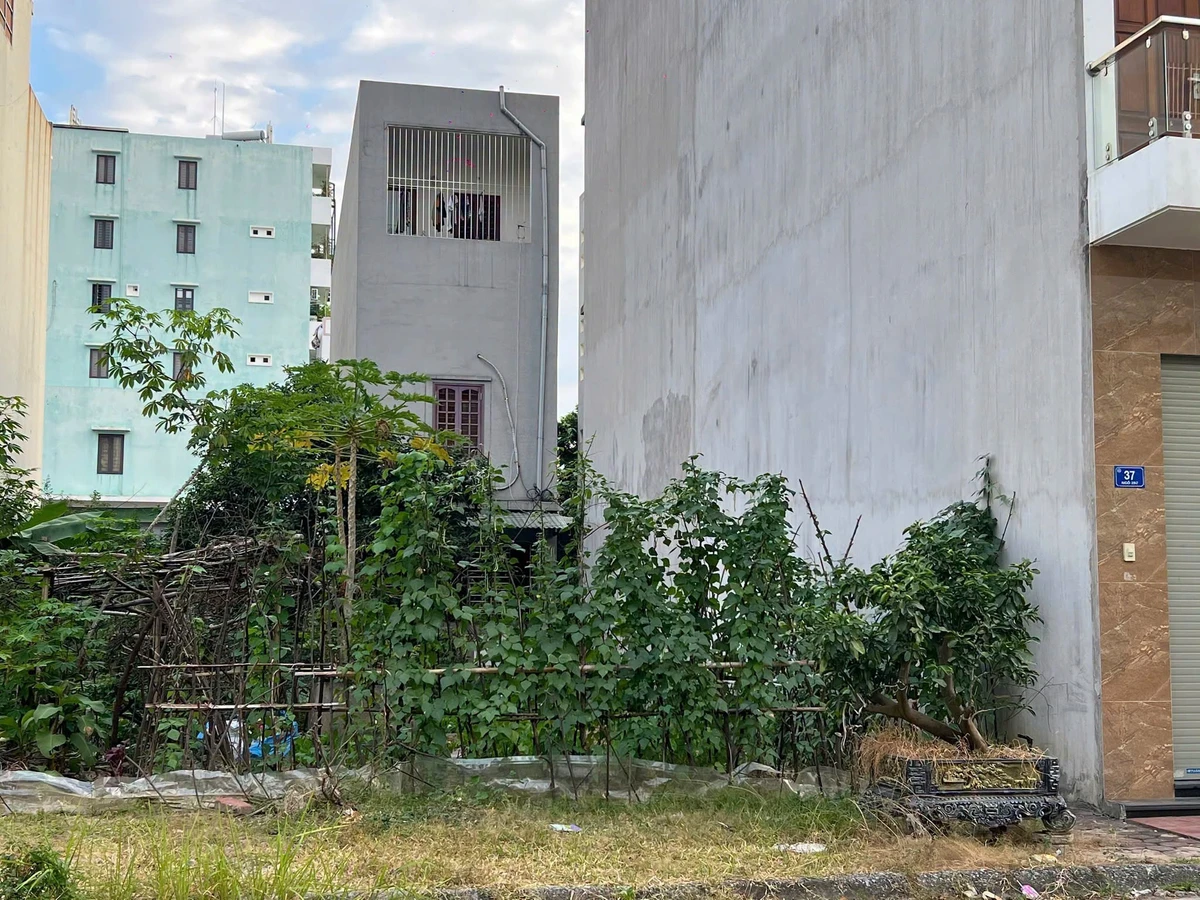 Bán đất cạnh Hoàng Quốc Việt, 68m² Hải Dương - Ảnh thu nhỏ 2