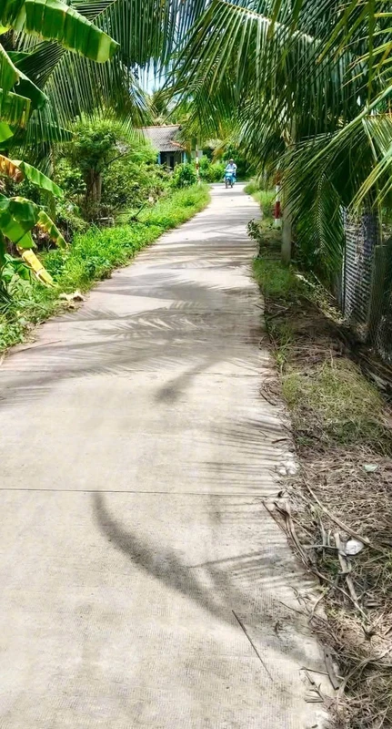 Bán đất vườn 507m² view kênh Đồng Tháp 415 triệu