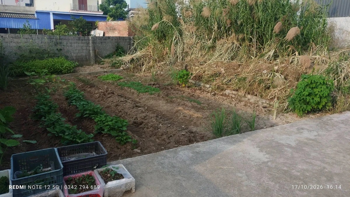 Bán đất Tiên Hội - An Lão 65m2, sổ hồng chuẩn, gần chợ - Ảnh thu nhỏ 3
