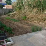 Bán đất Tiên Hội - An Lão 65m2, sổ hồng chuẩn, gần chợ - Ảnh thu nhỏ 3