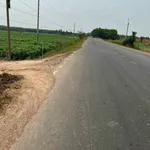 Bán đất Suối Đá Hóc Môn 2060m² giá 1 tỷ 3 - Ảnh thu nhỏ 3