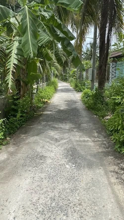 Bán đất thổ cư 109m2 ở xã Phú Nhuận, TP Bến Tre, 529 triệu - Ảnh 1