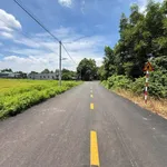 Bán đất 1000m2 mặt tiền Long Tân, Đất Đỏ - 1 tỷ 7 - Ảnh thu nhỏ 3