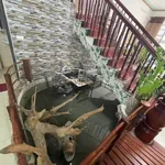 Bán nhà đẹp 3 tầng 75m² trung tâm Pom Hán, Lào Cai - Ảnh thu nhỏ 5