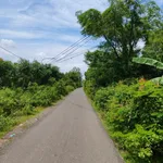 Bán đất 1.000m² giáp ranh Bảo Vinh, mặt tiền 37m - Ảnh thu nhỏ 2