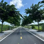 Bán gấp đất nền 70m² dự án Dragon Pearl Đức Hòa, Đức Hòa Đông, Long An giá 1,15 tỷ - Ảnh thu nhỏ 1