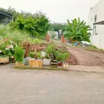 Bán đất thổ cư đường nhựa An Tây 047, Phường Tây Nam, giá 3,2 tỷ - Ảnh thu nhỏ 1