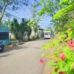 Bán đất vườn 1000m2, mặt tiền 37m, Long Khánh - Ảnh thu nhỏ 2