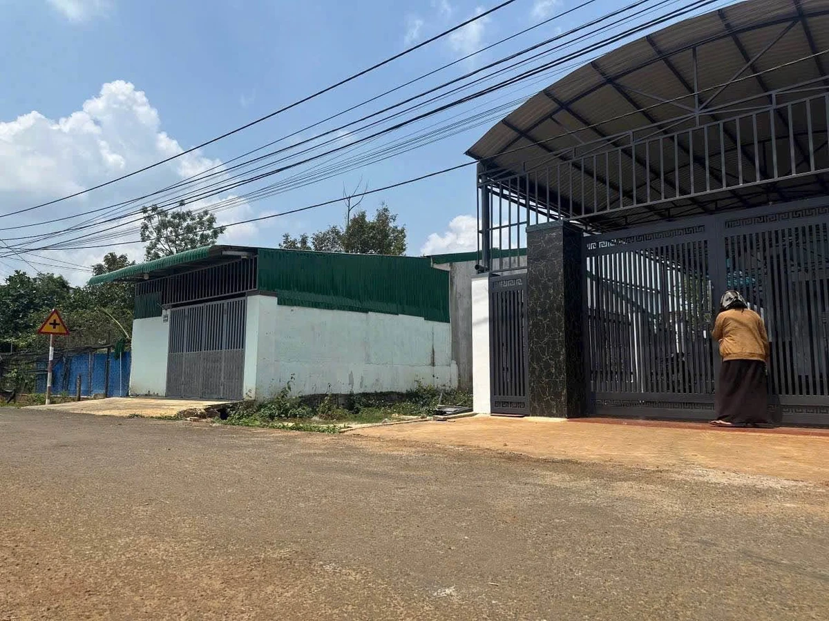 Bán đất mặt tiền Nguyễn Xuân Nguyên Tân An 150m² 2 tỷ 250 - Ảnh thu nhỏ 3