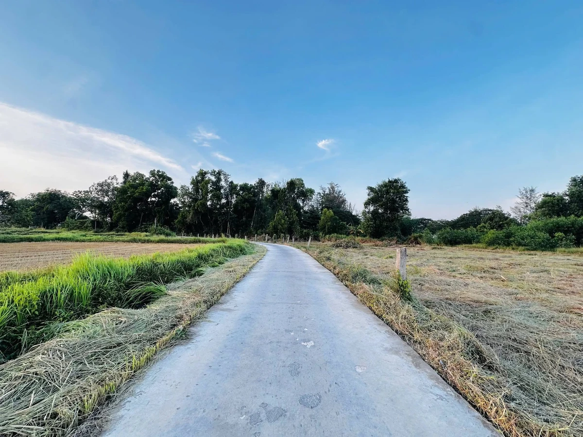Bán đất vườn 1.000m² Hàm Liêm 420 triệu - Ảnh 1