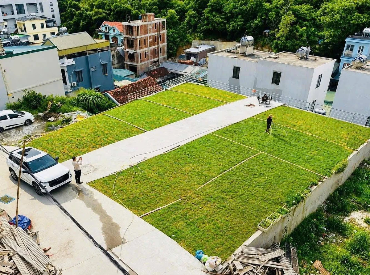 Bán đất Nguyễn Văn Cừ 47,7m² từ 1 tỷ Hạ Long - Ảnh thu nhỏ 2
