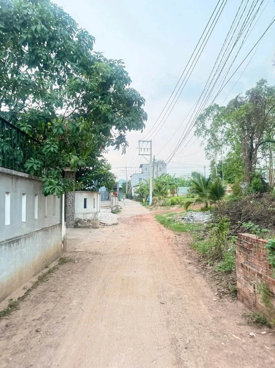 Bán đất sổ hồng riêng 98m² Nhà Bè 1,299 tỷ - Ảnh 1
