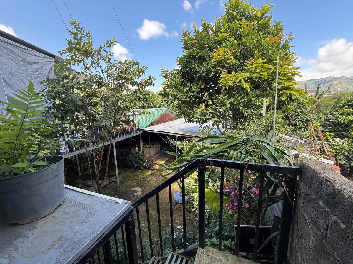 Nhà vườn 3PN view núi Bảo Lâm, Lâm Đồng 560m², 2,5 tỷ - Ảnh thu nhỏ 5