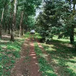 Bán đất nông nghiệp 47.758m2 với cao su, sầu riêng, cà phê tại Đồng Nai - Ảnh thu nhỏ 1