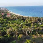 Bán 5 sào đất view biển Phú Quý, Bình Thuận 10,96 tỷ - Ảnh thu nhỏ 1