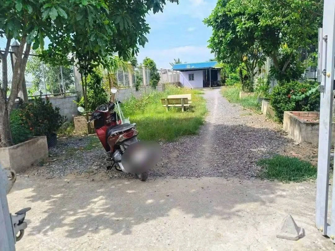 Bán nhà vườn 800m² mặt tiền kênh Bến Lức Long An - Ảnh thu nhỏ 3