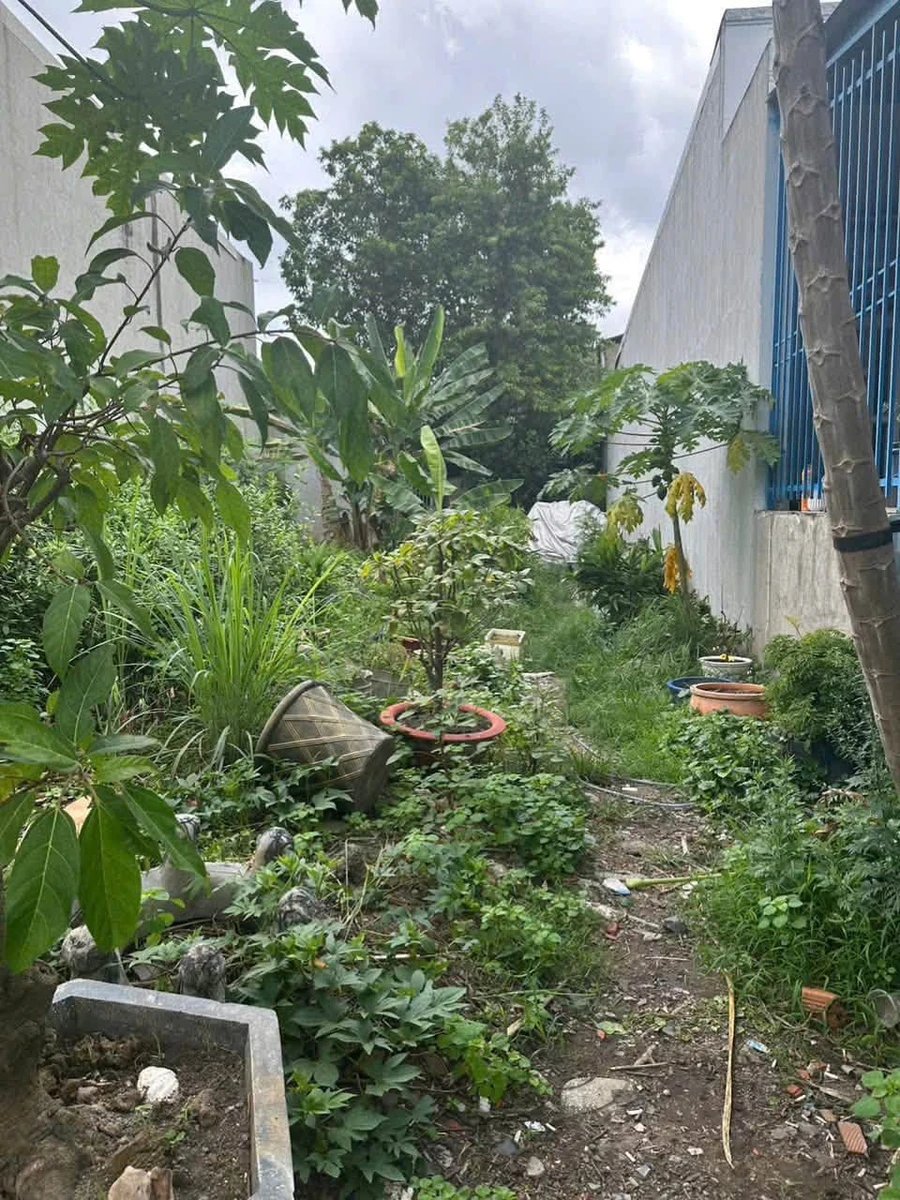 Bán đất 100m² mặt tiền kinh doanh Tân Hiệp, Thủ Đức - Ảnh thu nhỏ 2