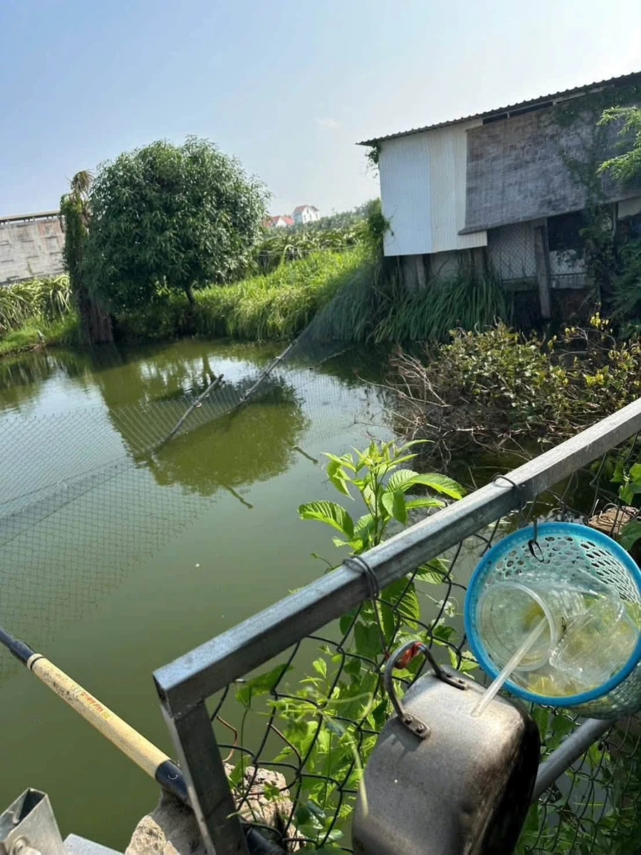 Bán nhà vườn 1000m2 giá 900 triệu tại Hàm Liêm, Phan Thiết - Ảnh 1