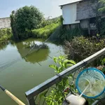 Bán nhà vườn 1000m2 giá 900 triệu tại Hàm Liêm, Phan Thiết - Ảnh thu nhỏ 1