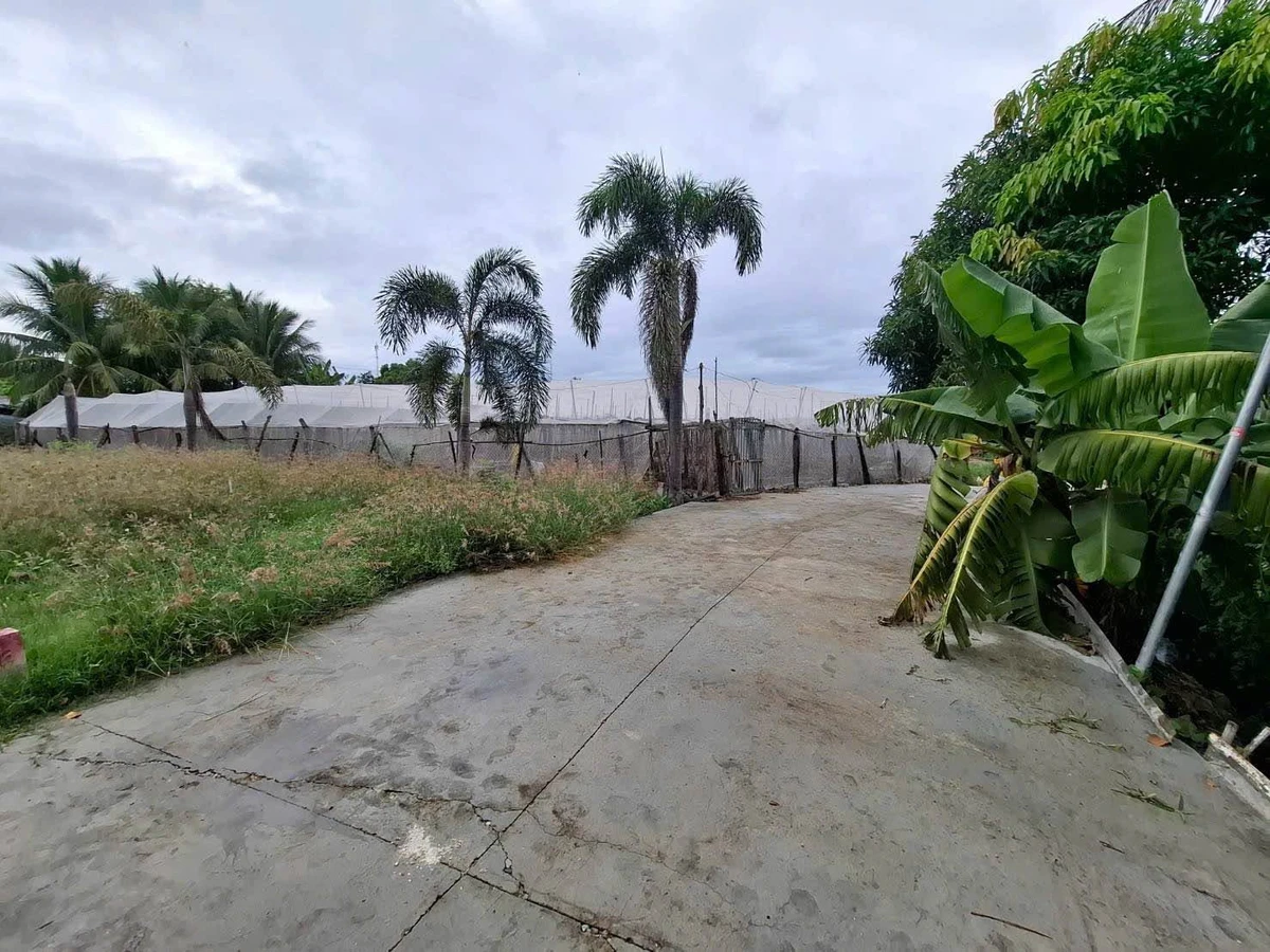 Bán lô đất 370m² Phan Rang, Khánh Hòa, giá 680 triệu - Ảnh thu nhỏ 3