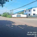 Bán đất mặt tiền 25m, 800m², Long Tân, Bà Rịa - Vũng Tàu - Ảnh thu nhỏ 2