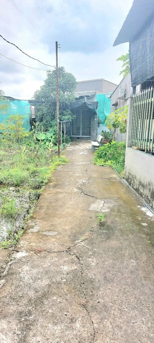 Bán nhà cấp 4 123 m² Cần Giờ 1,4 tỷ - Ảnh 1
