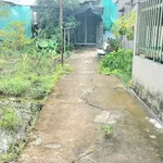 Bán nhà cấp 4 123 m² Cần Giờ 1,4 tỷ - Ảnh thu nhỏ 1