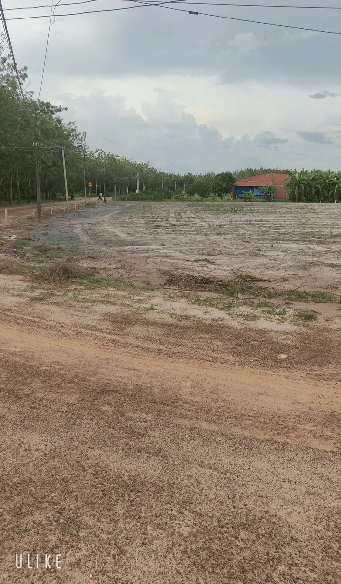 Bán đất sổ riêng 200m² Thạnh Bình Tây Ninh 129 triệu - Ảnh thu nhỏ 3