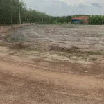 Bán đất sổ riêng 200m² Thạnh Bình Tây Ninh 129 triệu - Ảnh thu nhỏ 3