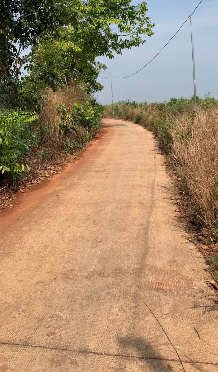 Bán 3,8ha đất vườn sầu riêng, cà phê tại Nghĩa Trung, Bình Phước giá 12 tỷ - Ảnh thu nhỏ 5