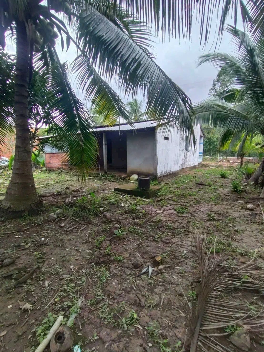 Bán đất mặt tiền 1700m² Huyện Lộ ĐH 22, Bến Tre - Ảnh thu nhỏ 5