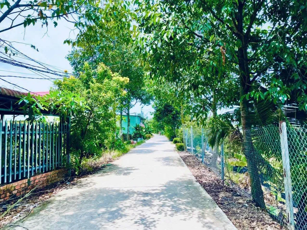 Bán lô thổ cư 125m² mặt tiền Bến Lức Long An 950 triệu - Ảnh thu nhỏ 4