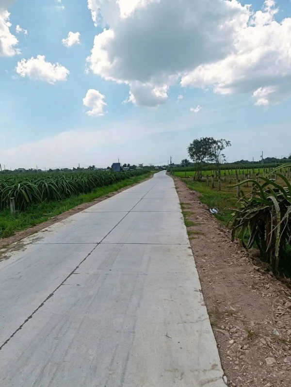 Bán đất 540m² (100m thổ cư) Bình Thuận - 490 triệu