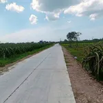 Bán đất 540m² (100m thổ cư) Bình Thuận - 490 triệu - Ảnh thu nhỏ 1